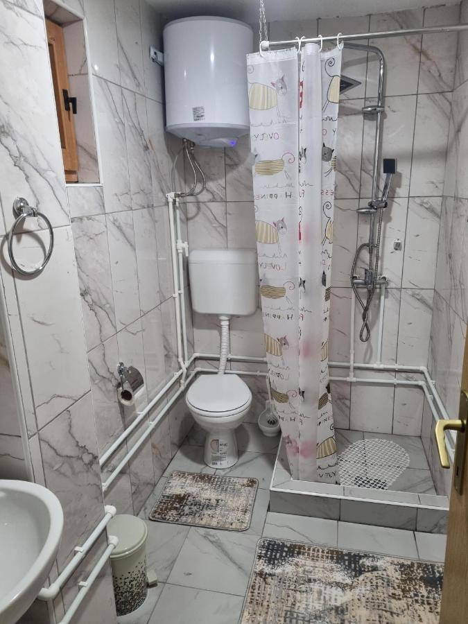 Apartman „Skobic” วิเชกราด ภายนอก รูปภาพ